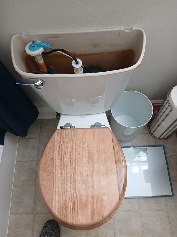 Responded to service call for non-functioning toilet internals. Upon arrival, removed tank lid and performed diagnostic inspection of flush mechanism components. Found deteriorated flush valve and fill valve assemblies with significant mineral buildup and corrosion in tank. Internal components showed wear and failure, preventing proper flush cycle operation. Diagnosed failed flush valve seal and malfunctioning fill valve as primary causes of operational failure. Documented existing conditions with photographs showing mineral deposits, rust staining, and compromised internal mechanisms requiring replacement to restore proper toilet function.