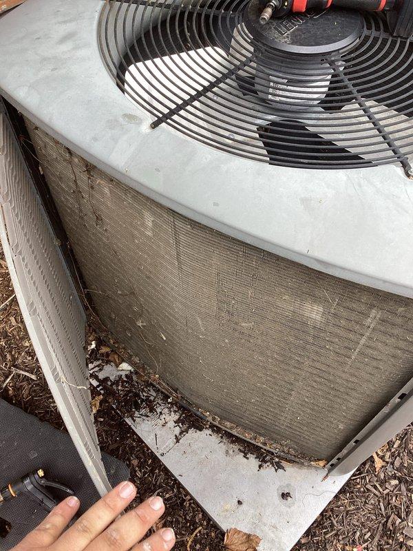 Completed routine cooling system maintenance visit as part of recurring membership agreement. Connected manifold gauges to outdoor condensing unit to verify refrigerant pressures and system performance. Inspected condenser coil condition, noting debris accumulation at base of unit and dirt buildup on exterior fins, and evaluated fan motor operation and overall equipment functionality.