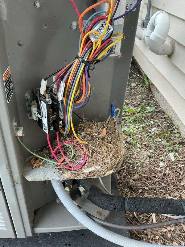 Completed membership cooling system tune-up and preventive maintenance inspection. Upon opening outdoor unit electrical compartment, discovered active bird's nest constructed with grass, twigs, and plant material accumulated around contactors, terminal blocks, and control wiring. Safely removed all nesting debris from enclosure to eliminate fire hazard and prevent equipment damage. Inspected all electrical connections, wire terminals, and control components for proper operation following debris removal. Verified system functionality and confirmed unit operating within normal parameters.