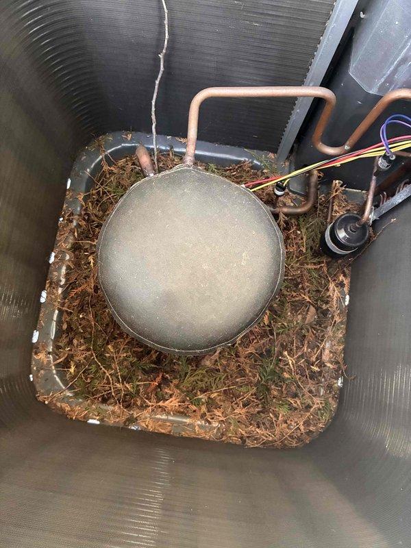 Completed routine cooling system maintenance as part of recurring membership agreement. Performed diagnostic testing with digital multimeter showing system readings, inspected indoor air handler components including blower assembly and electrical connections, and observed outdoor condensing unit with significant debris accumulation requiring attention. Unit operational with capacitor and refrigerant lines intact, though outdoor coil cleaning recommended to maintain optimal efficiency.