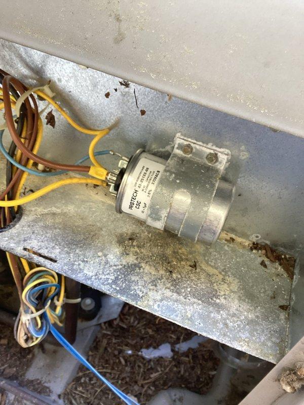 Responded to no cooling call and found electrical disconnect box heavily packed with dried leaves and organic debris creating fire hazard and preventing proper system operation. Removed all debris from disconnect and capacitor compartment, cleaned electrical connections, verified capacitor functionality, and tested system for proper cooling operation. Unit restored to normal operation with all safety hazards eliminated.