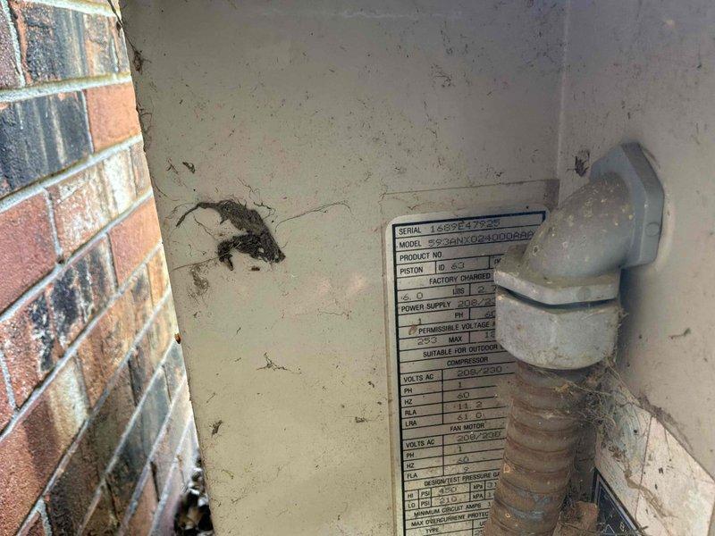 Conducted on-site estimate for replacement of existing air conditioning and natural gas furnace system. Evaluated current outdoor condensing unit and indoor furnace equipment located in basement, documented existing installation conditions including electrical disconnect, refrigerant line set routing, and equipment placement. Provided customer with replacement options and specifications for new HVAC system installation.