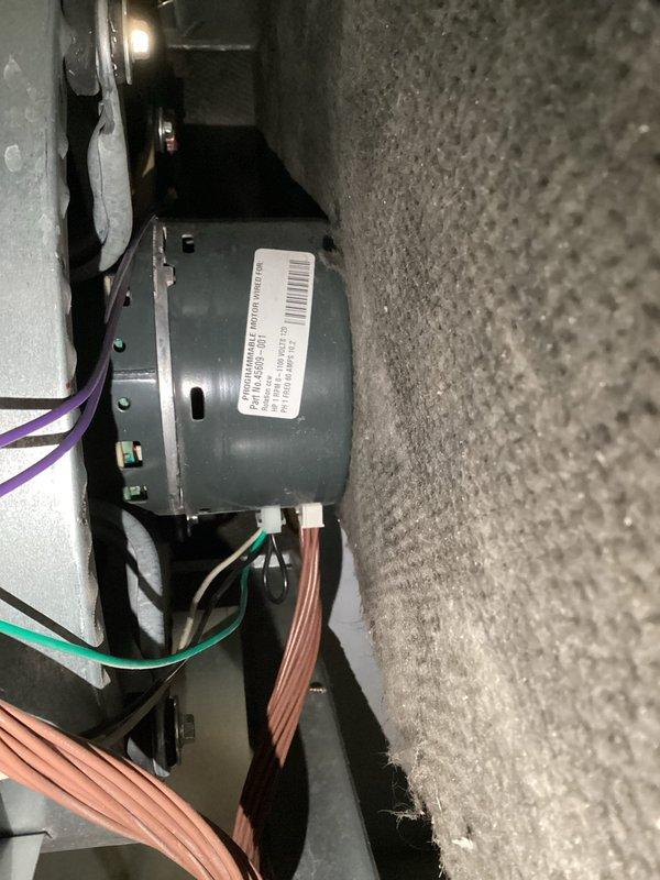 Responded to no heat call on residential furnace system over 10 years old. Upon arrival, performed diagnostic inspection of unit with access panel removed to assess internal components. Inspected blower motor assembly, electrical connections, gas valve mechanisms, and control wiring. Examined condition of cylindrical blower motor, verified wire connections including multiple colored leads secured with zip ties, and assessed overall system functionality. Documented internal component condition including PVC condensate/vent line, metal housing integrity, and mounting hardware. System restored to proper operation following diagnostic service.