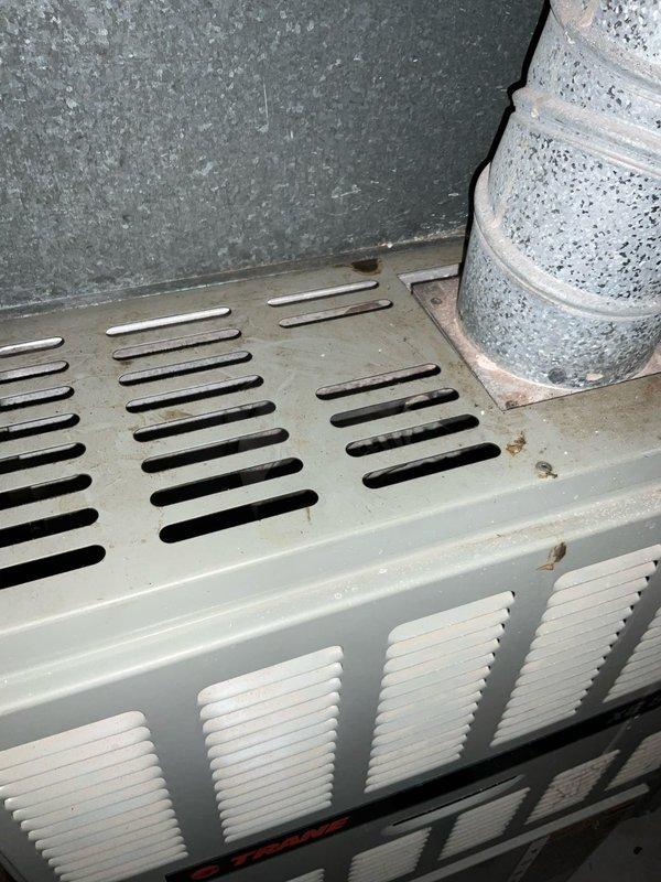 Responded to lead for non-operational furnace located in basement. Conducted assessment of existing HVAC system including basement furnace unit and outdoor Trane condenser, documented equipment condition and installation configuration, and provided replacement estimate for failed heating system.