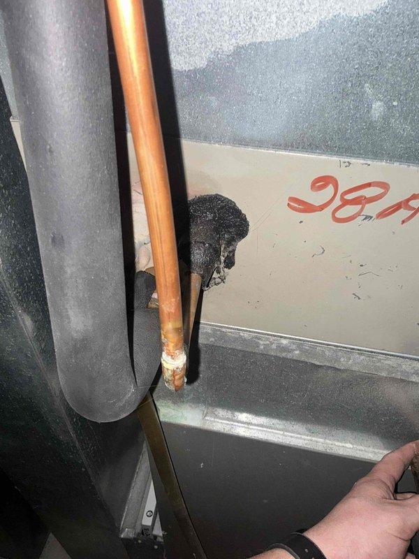 Conducted estimate for non-operational natural gas furnace located in basement. Inspected existing HVAC system including air handler, refrigerant lines showing visible corrosion and oxidation, and ductwork with moisture patterns indicating potential condensation issues. Provided replacement options and recommendations for complete furnace system replacement.