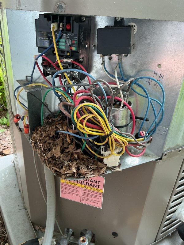 Completed comprehensive AC membership tune-up and preventive maintenance inspection on residential HVAC system. During inspection, discovered significant accumulation of leaves, twigs, and organic debris within electrical compartment, creating potential fire hazard and compromising system safety. Removed all debris from compartment, cleaned electrical connections, and verified proper operation of all control relays and safety switches. Inspected furnace and air handler units, confirmed proper venting through PVC exhaust pipes, and documented system condition with photographs for customer records.