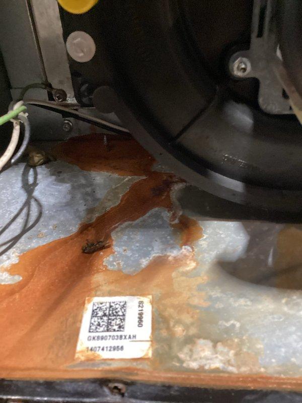 Responded to no cooling complaint on residential HVAC system. Upon inspection, found significant rust and corrosion on condensate drain pan indicating active water damage and potential secondary drain pan failure. System was operational but unable to maintain desired temperature setpoint. Documented equipment condition with photos showing corroded components and advised homeowner of necessary repairs to prevent further deterioration and restore proper cooling function.
