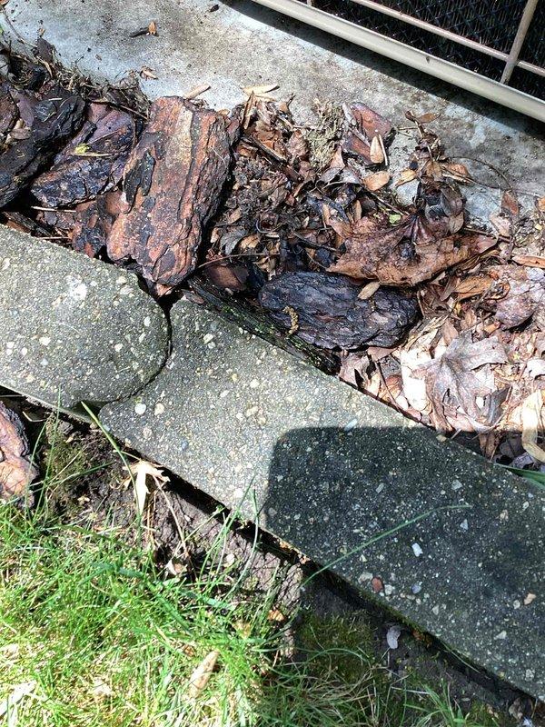Responded to no cooling call on aging residential air conditioning system. Upon arrival, performed diagnostic inspection of outdoor condensing unit. Found evaporator coil heavily blocked with organic debris and deteriorated material that had accumulated around and within the unit, severely restricting airflow through the heat exchanger fins. The obstruction prevented proper heat transfer and caused system shutdown. Cleaned accessible debris from exterior of unit and documented coil condition. Advised customer that the evaporator coil requires professional cleaning or replacement due to age-related deterioration and blockage. System is over ten years old and showing signs of wear consistent with its age. Recommended evaluation of complete system for potential replacement given age and current condition of components.