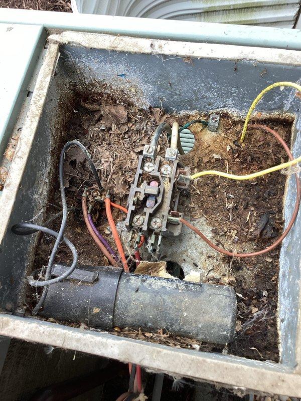 Responded to no cooling call on 22-year-old system experiencing freeze-up condition. Upon arrival, unit was off and evaporator coil was frozen. Inspected outdoor condenser unit and found electrical compartment heavily contaminated with leaves, dirt, and organic debris accumulation, indicating extended period without maintenance. Cleaned electrical components and removed all debris from contactor housing to restore proper operation and prevent potential electrical failures. Cycled system and verified proper operation after thaw period.