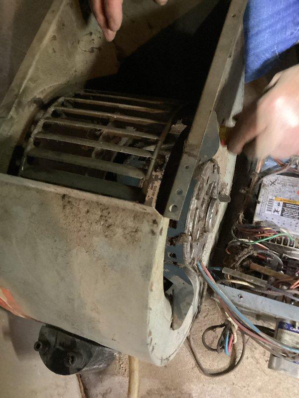 Responded to no cooling complaint on 1980s-era Daikin split system at new service location. Upon arrival, accessed indoor air handler unit and performed visual inspection of internal components. Removed blower compartment access panel to assess blower wheel condition and airflow components. Found significant dust and debris accumulation on squirrel cage blower wheel and throughout cabinet interior, indicating lack of routine maintenance over extended service life. Inspected electrical connections, wiring harnesses, and control components for signs of failure or deterioration. Documented equipment information and current system condition with photographs for service records, as unit age and maintenance history were unknown at this location.
