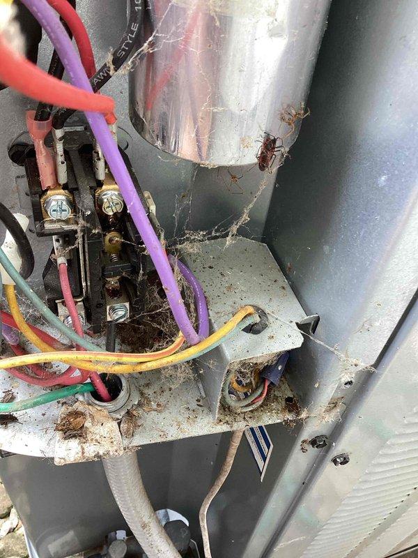 # HVAC No Cool Service Call

Responded to no cooling complaint at residential property. Upon inspection, found outdoor condensing unit with excessive dirt, debris, and organic matter accumulation throughout electrical compartment and on capacitor housing. Electrical connections showed signs of corrosion and oxidation at terminal blocks. Multiple wire connections exhibited dirt buildup and environmental exposure. Cobwebs present on internal components indicating extended period without maintenance. Equipment condition suggested compromised airflow and potential electrical connection issues contributing to system failure. Cleaned electrical connections, removed debris from compartment, and addressed contamination affecting unit performance. System operational upon completion of service.
