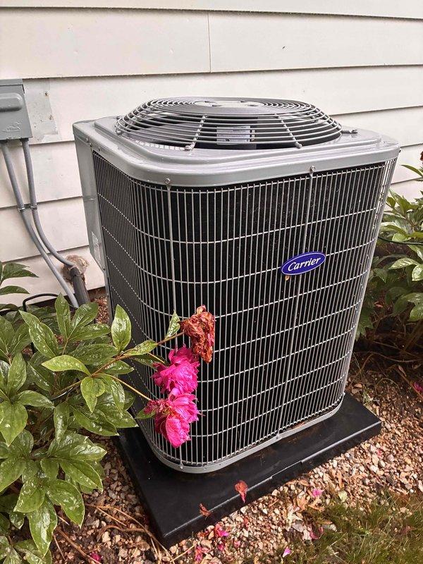 Performed comprehensive air conditioning tune-up on Carrier outdoor condenser unit, including system inspection, performance testing, and filter evaluation. Inspected two HVAC air filters showing standard wear patterns and assessed outdoor unit accessibility, noting vegetation growth around condenser that may require clearance to maintain optimal airflow and system efficiency.