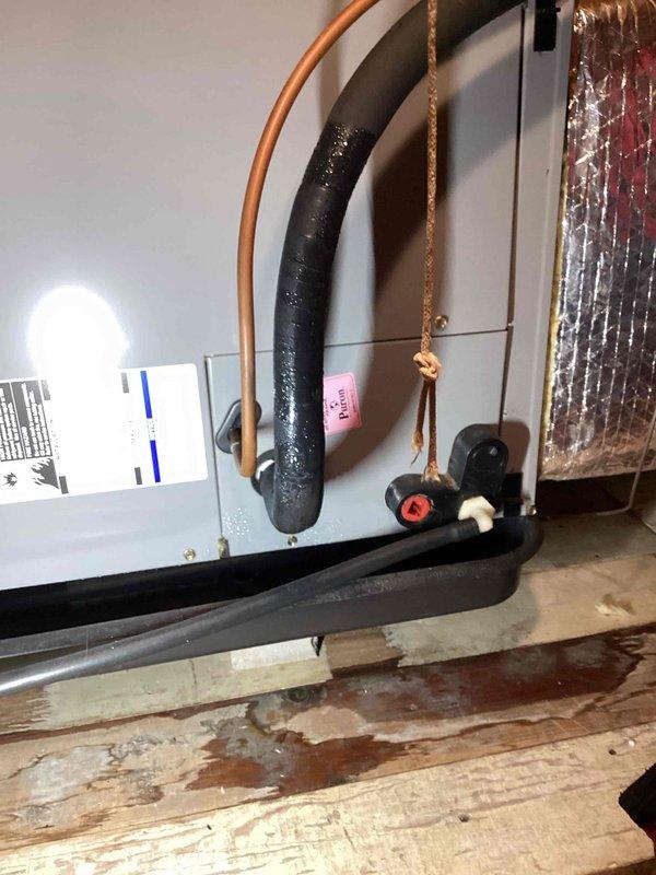 Responded to no cooling complaint on 10+ year old Bryant system. Upon arrival, performed diagnostic evaluation of outdoor condensing unit and attic-mounted air handler. Identified system failure preventing proper cooling operation. Documented equipment condition including outdoor unit surrounded by overgrown vegetation and debris, which can restrict airflow and reduce efficiency. Air handler inspection revealed evidence of water damage on attic flooring beneath unit, indicating previous or ongoing condensate drainage issues. Photographed equipment conditions and discussed findings with homeowner. Recommended vegetation clearance around outdoor unit to maintain proper airflow and prevent future performance issues.