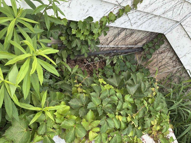 Conducted estimate for complete air conditioning system replacement at recently purchased residence with non-functional, aged outdoor unit. Assessed existing newer Carrier furnace in basement for compatibility with replacement system and documented current HVAC configuration including ductwork connections. Provided equipment recommendations and replacement options for new AC installation to restore cooling functionality to the home.
