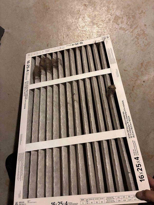 Completed annual cooling system maintenance visit under membership agreement. Performed comprehensive A/C tune-up including inspection of outdoor condenser unit, replaced dirty 16x25x4 pleated air filter, and verified system operation. All components found functioning properly with unit maintaining proper airflow and cooling capacity.