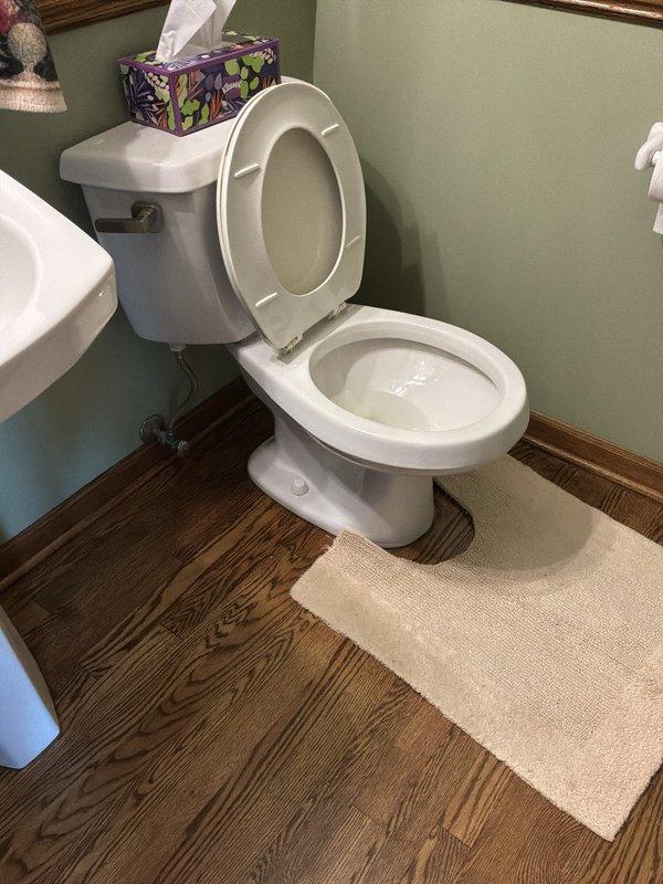 Conducted on-site assessment for toilet replacement project involving three existing fixtures. Evaluated current installations in residential bathrooms, noting standard two-piece toilets requiring removal and replacement with customer-supplied units, and provided detailed estimate for professional installation services.