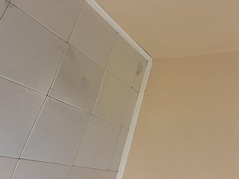 Responded to service call for water leak originating from shower and penetrating through wall into adjacent kitchen area. Performed diagnostic inspection of shower enclosure, examining tile work, grout lines, and built-in fixtures including recessed soap holder. Leak confirmed to occur only during shower operation, indicating probable failure of waterproofing membrane or compromised grout/caulk seals behind tile surface. Documented conditions with photographs showing tile wall configuration, mounted fixtures, and ceiling-to-wall transition areas for further assessment and repair recommendations.