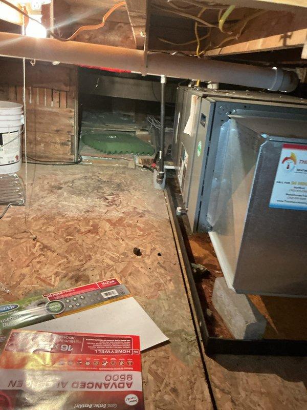 Performed comprehensive inspection of two residential furnaces following a reported power surge event. Conducted visual examination of internal components including blower motor assemblies, control boards, electrical connections, and wiring integrity. Verified proper operation of both heating units, checked all safety controls, and confirmed systems were functioning correctly with no apparent surge damage. All electrical connections were secure and control boards showed no signs of failure or malfunction.