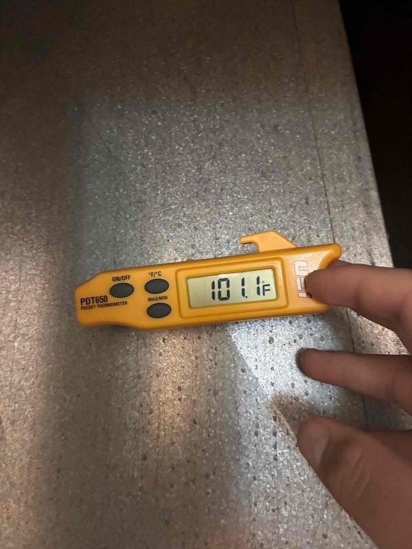 Completed preventive maintenance tune-up on HVAC system. Inspected refrigerant line insulation and measured supply air temperature at 101°F to verify proper system operation. Customer will provide their own air filter for future maintenance.