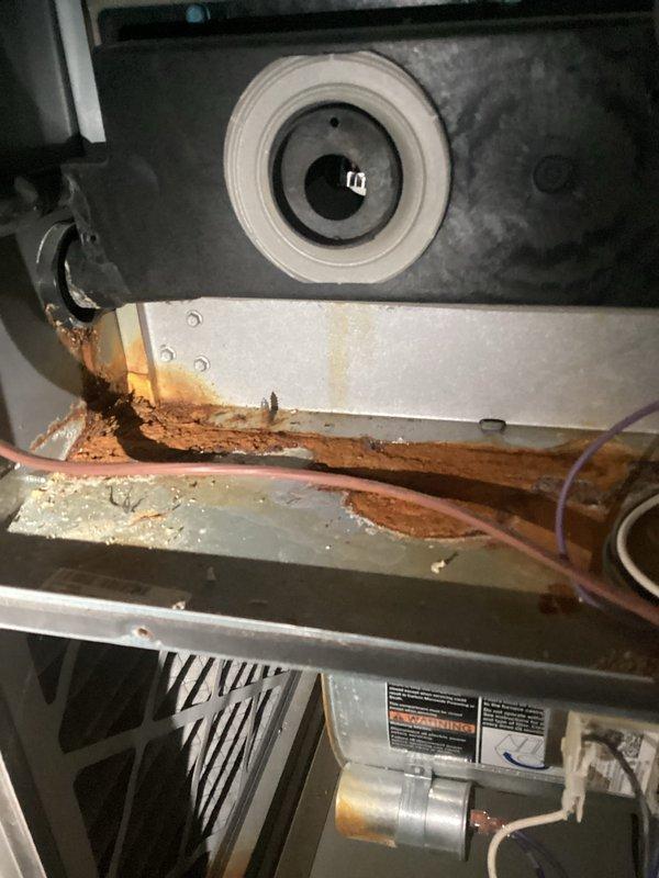 Responded to no heat call on Lennox furnace system. Upon arrival, diagnosed pressure switch remaining open despite inducer motor operating, indicating failure of inducer assembly. Extensive rust and corrosion observed throughout heat exchanger section and internal components, consistent with age-related deterioration and moisture exposure. Removed and replaced failed inducer motor assembly, restored system to proper operation, and verified pressure switch functionality with unit cycling normally.