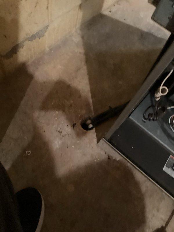 Completed comprehensive furnace tune-up and inspection. Accessed internal components, verified proper operation of blower motors across all zones, inspected electrical connections and wiring for secure termination, and confirmed PVC condensate drainage system is functioning correctly. All system components operating within normal parameters with no immediate concerns identified.