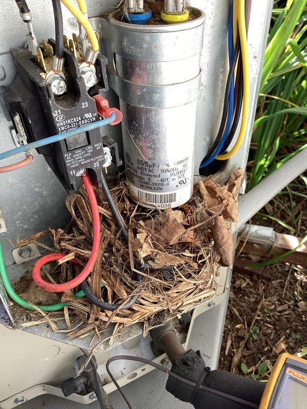 Completed comprehensive furnace and air conditioning tune-up service at residential property. Inspected outdoor condenser unit, finding significant accumulation of grass clippings, leaves, and organic debris around capacitor and electrical components that required removal to prevent airflow restriction and potential component failure. Cleaned condenser coil fins, verified capacitor function and electrical connections, and ensured all wiring terminals were secure and free from corrosion.