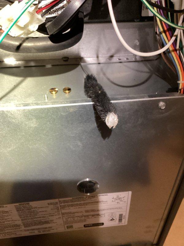 Responded to no heat call on furnace installed earlier this year. Upon inspection, found burner assembly with flame sensor requiring attention. Performed thorough cleaning of flame sensor rod using appropriate brush tool to remove carbon buildup and oxidation. Verified all electrical connections to burner assembly and control board were secure. Tested ignition sequence and confirmed proper flame detection. System restored to full heating operation with all safety controls functioning as designed.
