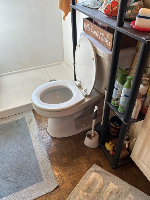 Provided estimate for toilet replacement in residential bathroom. Customer has new fixture ready for installation. Assessed existing toilet condition and surrounding plumbing connections, noting deteriorated wall surface behind unit with visible moisture damage, cracking, and paint failure. Documented water supply line configuration and floor conditions for replacement procedure.