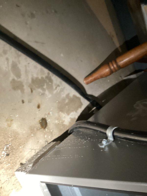 Performed a seasonal heating system tune-up, including inspection of the furnace casing, ductwork connections, and secured electrical conduit in the mechanical space. Verified the condensate drain assembly and PVC piping were properly supported and free of leaks, and confirmed the gas supply line and shutoff valve were in good condition with no signs of rust, frost, or moisture damage. System operation was checked and left functioning properly.