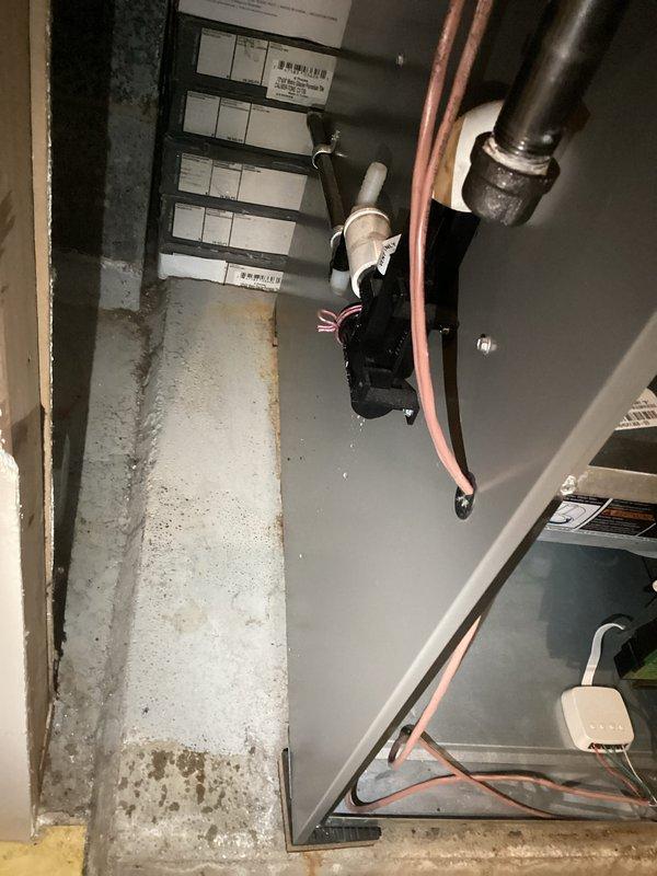 Performed prepaid maintenance tune-ups on two furnaces, including inspection of the inducer blower assembly, pressure switch, condensate drain and PVC venting connections, control module, and associated wiring. Components showed normal wear with no visible rust, frost, or breakage, and the units were left operating properly.