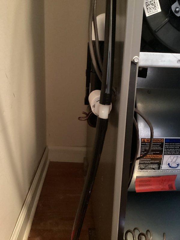 Performed a prepaid seasonal furnace tune-up, inspecting the blower assembly, condensate drain tubing and PVC fittings, wiring, and cabinet interior for wear or corrosion. Measured supply air temperature at the ductwork with a digital probe thermometer (117.1°F) to verify proper heating operation, and noted minor corrosion on a wire clip for monitoring.