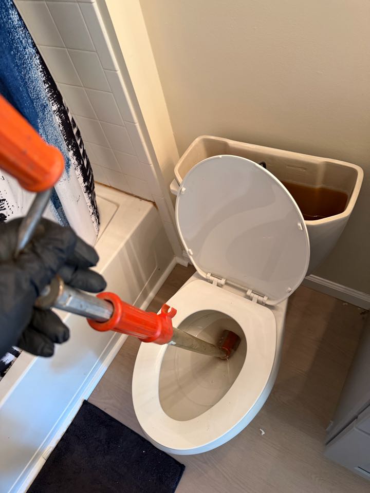 Cleared toilet stoppage in Waldorf, MD 