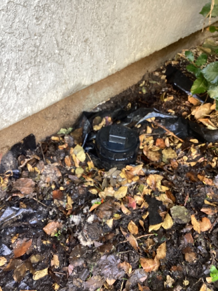 Sewer line repair
