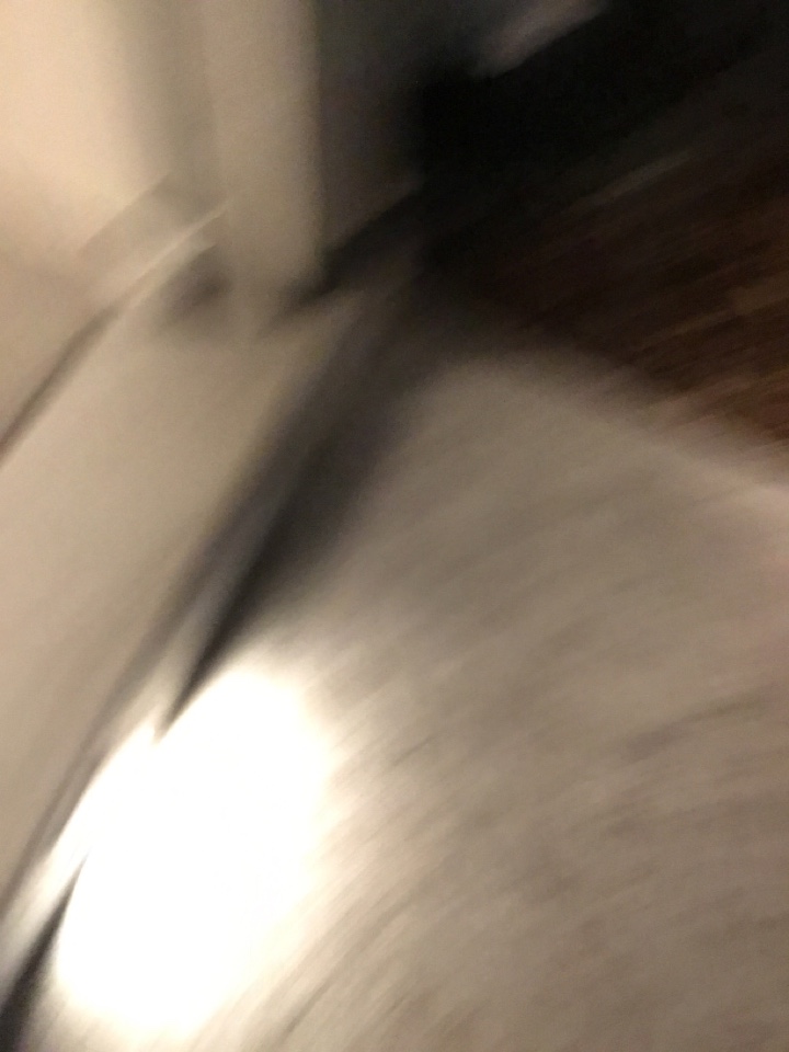 Floor drain clogged 