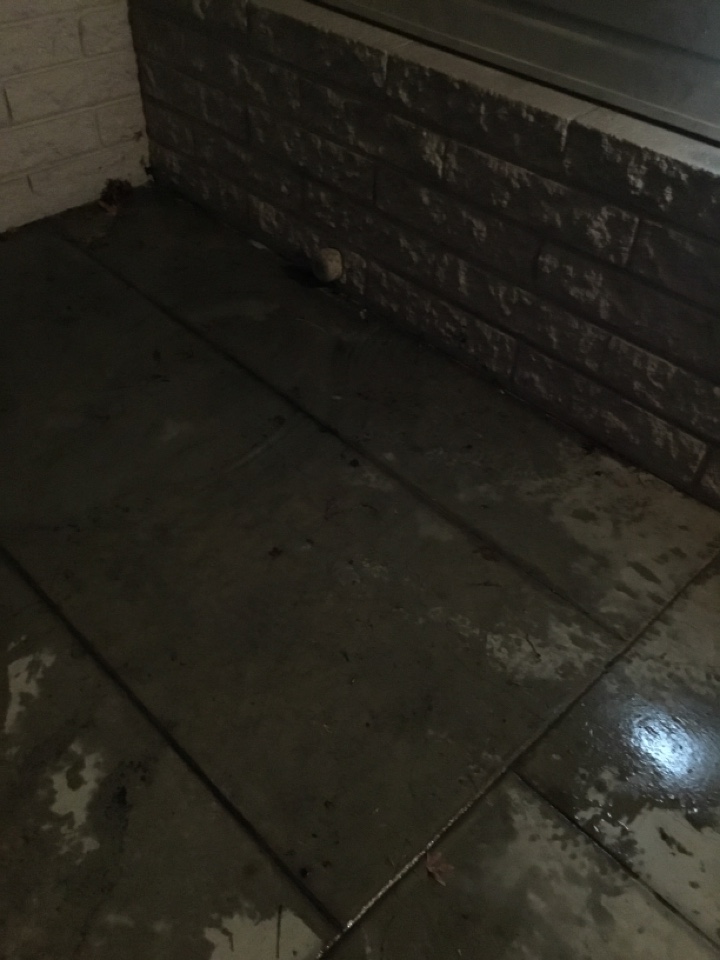 Sewer line clogged 