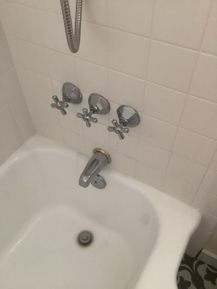 Shower stems