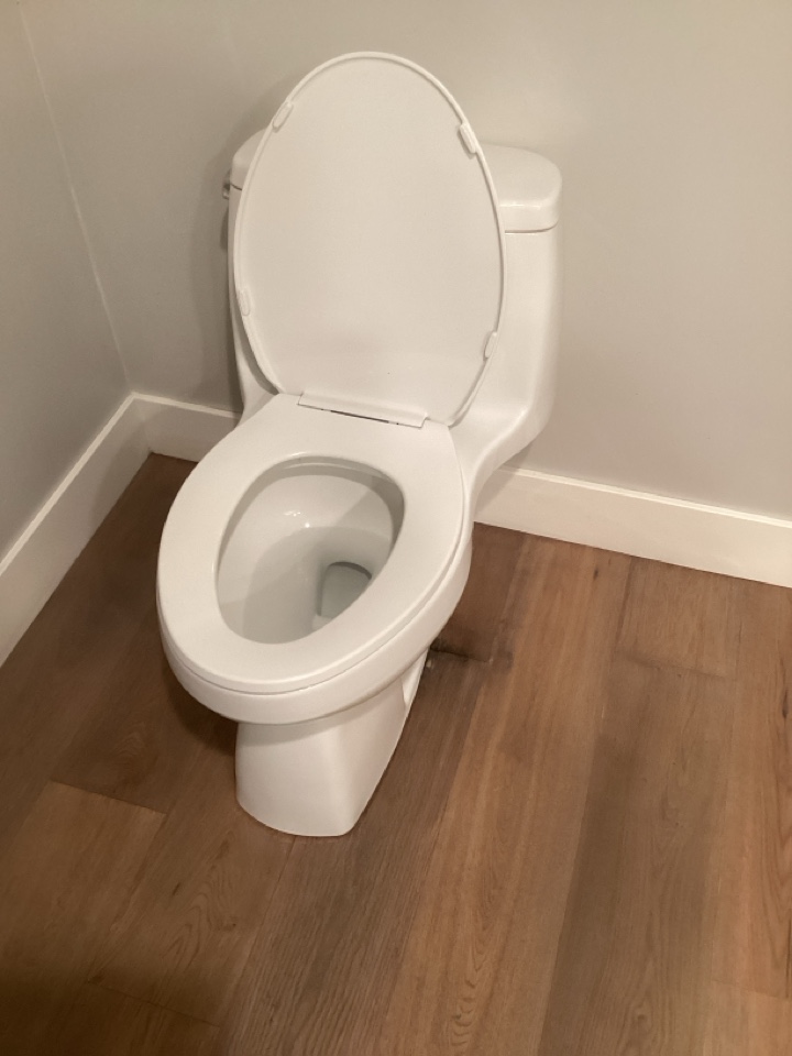 Reset toilet