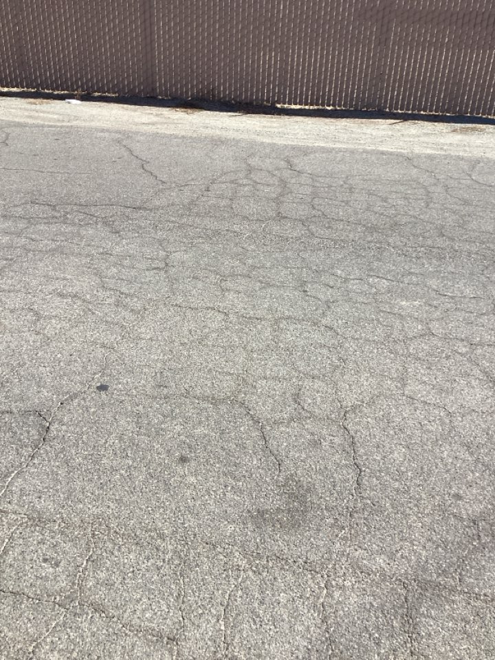Sewer line clogged 
