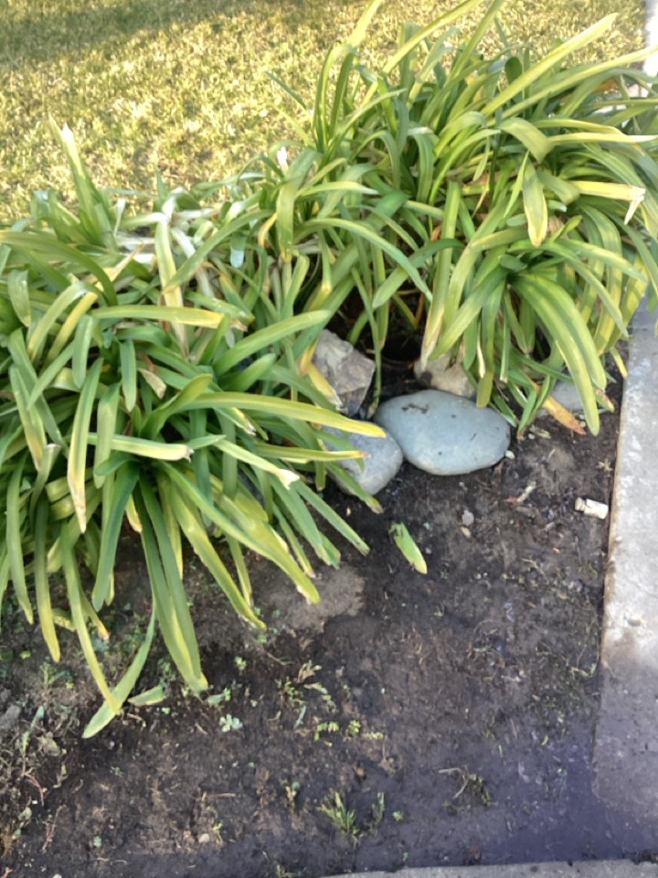 Sewer clogged 