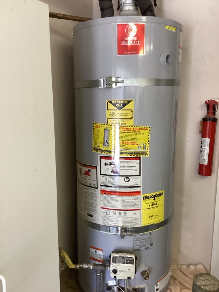 Water heater flushing and inspection