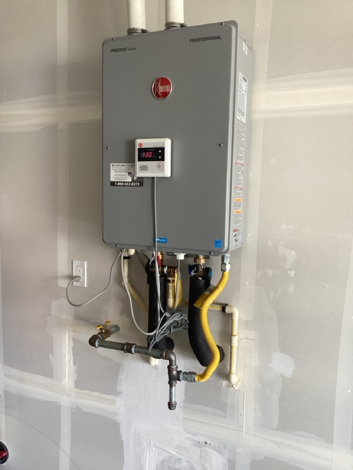 Tankless water heater flush