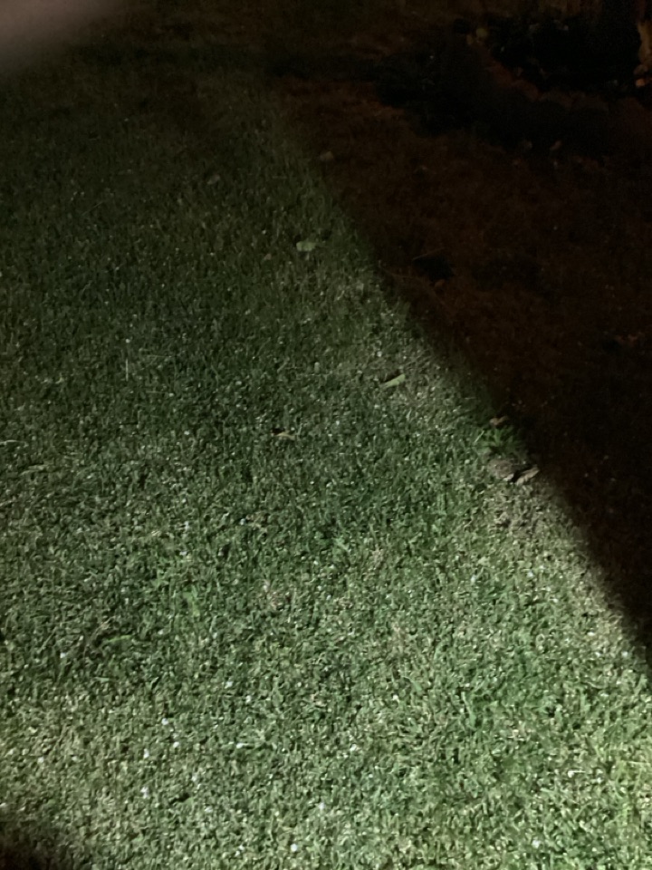 Water line repair 