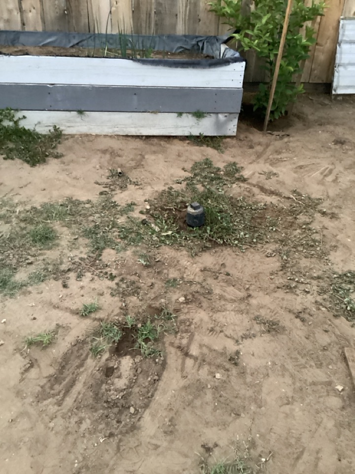 Sewer line clogged 