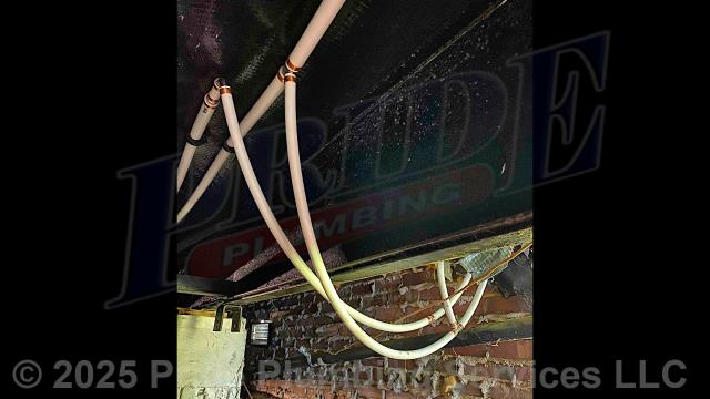 Pride Plumbing came out and repiped and replaced the water supply lines under the house in the crawlspace, going to the fixtures in the kitchen (sink faucet, dishwasher, and ice maker), two bathrooms (sinks, toilets, and bathtubs/showers), the washing machine (installing a new washer box and hot and cold boiler drains), and the water heater, with new PEX piping and fittings (installing new 1/4 turn water shut-off valves on each fixture inside the house along with new above-floor stainless steel water supply lines) and replaced two outside hose bib spigots with new Woodford frost-free models.