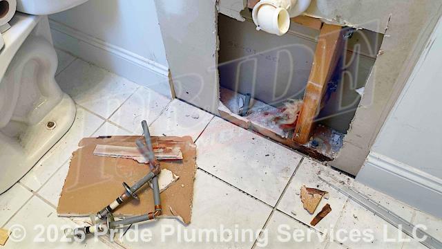 Pride Plumbing was called out for a water leak in the wall behind a bathroom sink vanity. We removed the bathroom sink vanity and opened the wall to find a hole made by a mouse on the sink's cold-side water supply line. We cut out the damaged section of pipe and capped both the hot and cold water supply lines. We also provided a cost estimate to repipe and replace the water supply lines under the house in the crawlspace, going to the fixtures in the kitchen (sink faucet, dishwasher, and ice maker), one bathroom (sink, toilet, and bathtub/shower), the washing machine (installing a new plastic washer box and hot and cold hose bibs or boiler drains), and the water heater, with new PEX piping and fittings (installing new 1/4 turn water shut-off valves on each fixture inside the building along with new above-floor stainless steel braided water supply lines).