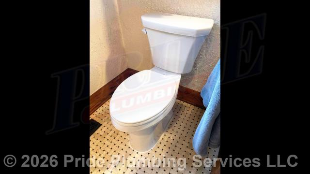 Pride Plumbing came out and replaced a toilet with a cracked tank with a new Gerber Viper model. This included draining and pulling the old toilet, inspecting and cleaning the flange, replacing the toilet bowl, toilet tank, tank to bowl gasket and bolts, seat, wax ring gasket, toilet bowl bolts, toilet bowl bolt washers, toilet bowl bolt caps, and above-floor stainless steel braided water supply line. Once installed, we tested for leaks and proper operation with no issues.