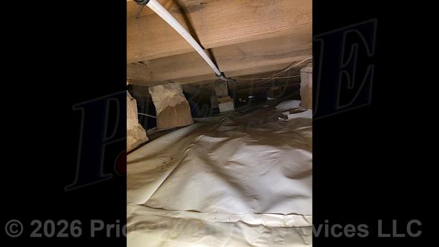 Pride Plumbing came out and performed the following work: 1) repiped and replaced the water supply lines under the house in the crawlspace, going to the fixtures in the kitchen and one bathroom, and at the washing machine and water heater, with new PEX piping and fittings; and 2) replaced a 50-gallon tank water heater with a new Navien 180S tankless model without a NAVICIRC recirculation pump (this included a) removing and disposing of the old water heater along with its electrical wiring, venting, and gas and water supply lines; b) installed the new tankless unit along with its service valves, PEX and stainless steel water lines to the unit's water connections, black iron gas supply line, gas regulator, drip leg, gas shutoff valve, and condensation and intake lines; c) wiring up the unit; d) ensuring that it was properly vented; and e) lighting and programming the unit).