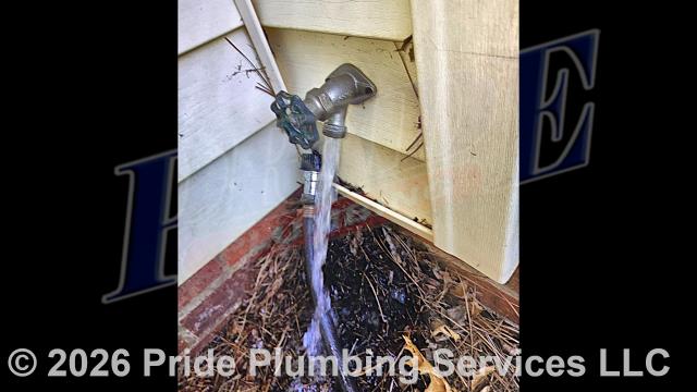 Pride Plumbing came out and performed the following work after shutting off the water to the home: 1) removed, cleaned, and reinserted the cartridge inside a leaking Moen single-handle kitchen sink faucet and stopped a leak; 2) replaced the washer inside a leaking outside hose bib spigot and stopped a leak there; and 3) replaced a leaking pump gauge on a well. We then turned the water back on and tested all repairs for leaks and proper operation with no further issues.