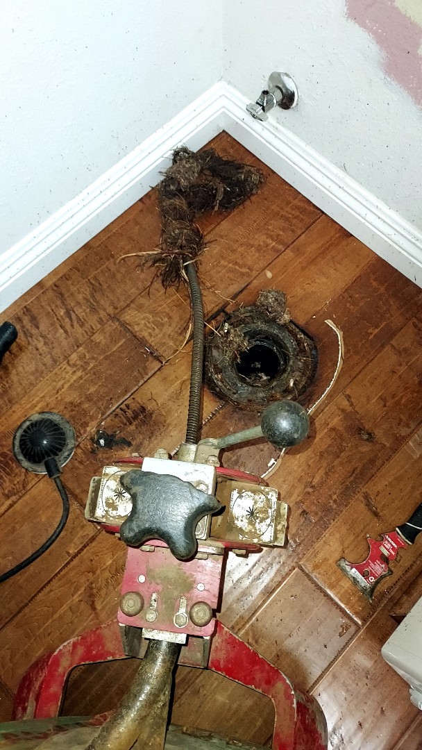 Hallway bathroom toilet stoppage