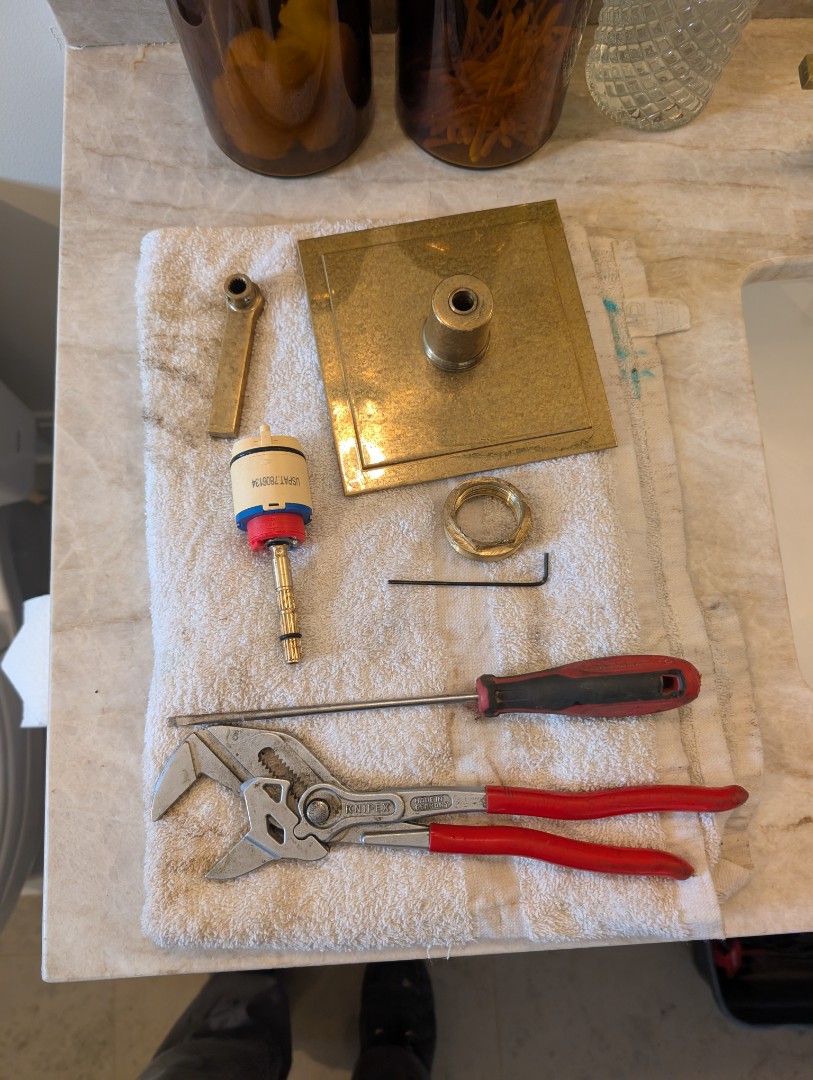 repaired a high end shower valve in San Miguel.  